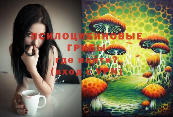 молекула духа Алексин