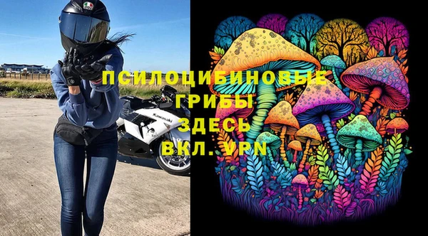 молекула духа Алексин