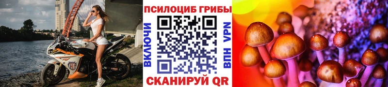цены   Черкесск  blacksprut tor  Псилоцибиновые грибы Cubensis 